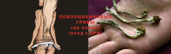 винт Магас