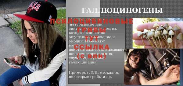 винт Магас