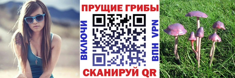 кракен вход  как найти наркотики  Ухта  Галлюциногенные грибы Cubensis 