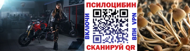 Галлюциногенные грибы Psilocybine cubensis Ухта